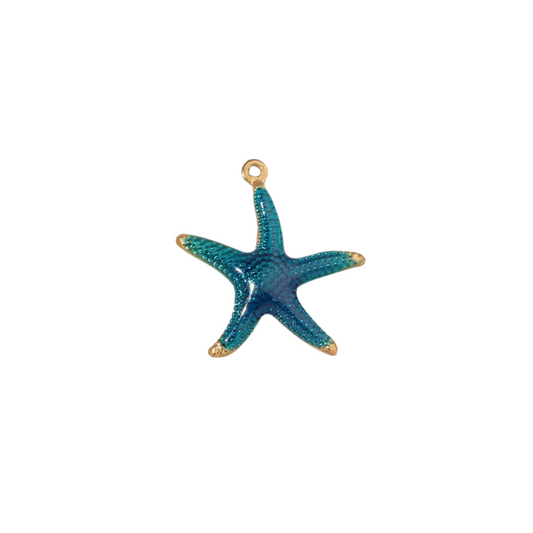 Coastal Star Charm