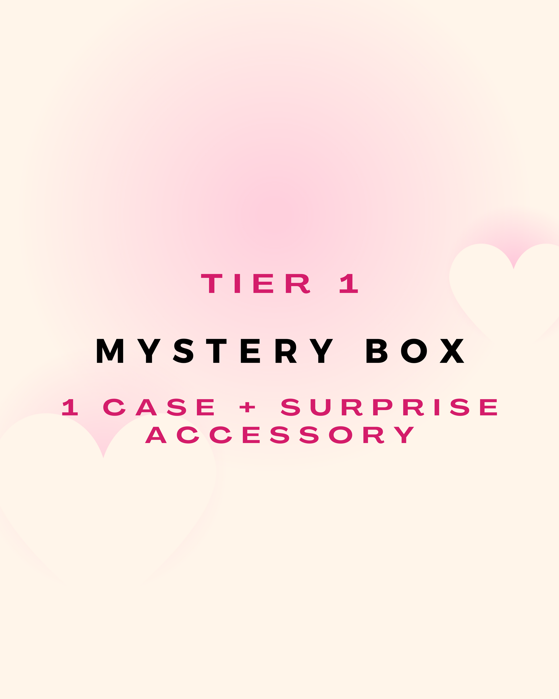 Caseland Mini Mystery Box