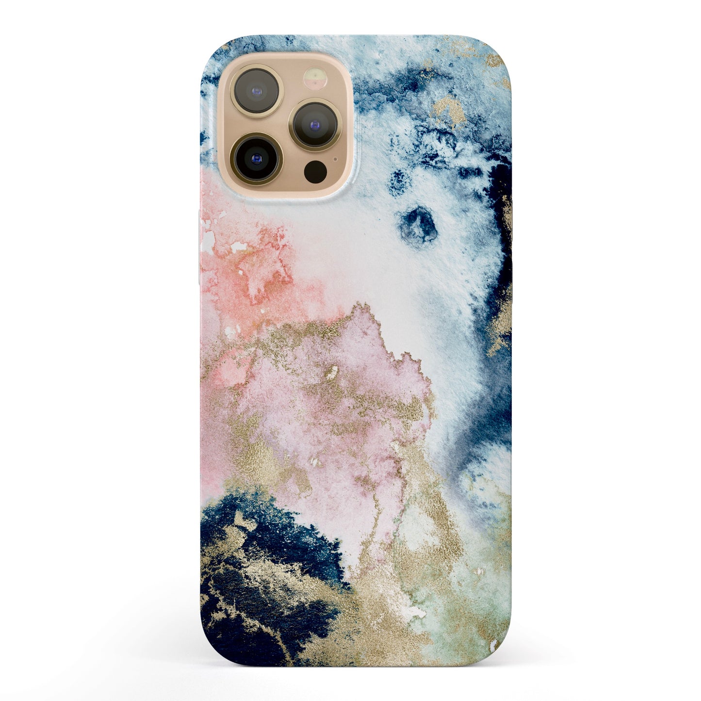 Hidden Treasure iPhone 12 Case